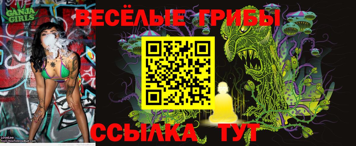 Арзамас  Галлюциногенные грибы MAGIC MUSHROOMS  где можно купить   Вход с VPN 
