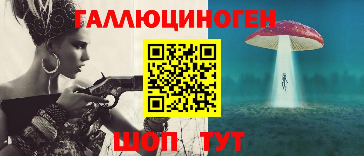 Галлюциногенные грибы Psilocybe Арзамас